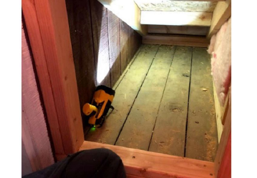 Sypialnia dla kota - czy to już przesada?