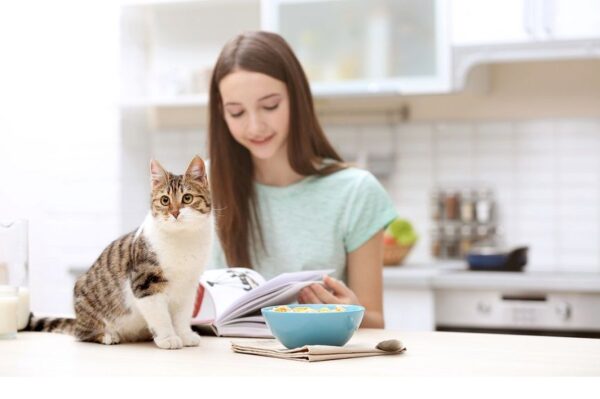Cynk w diecie kota jest istotniejszy, niż wielu mogłoby przypuszczać. Ten pierwiastek naprawdę pomaga w odpowiednim funkcjonowaniu organizmu.