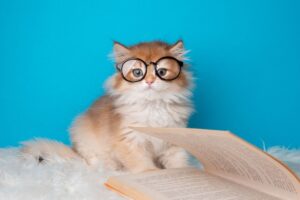 kocie trendy na które uważać