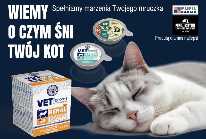 pupil foods wrzesień