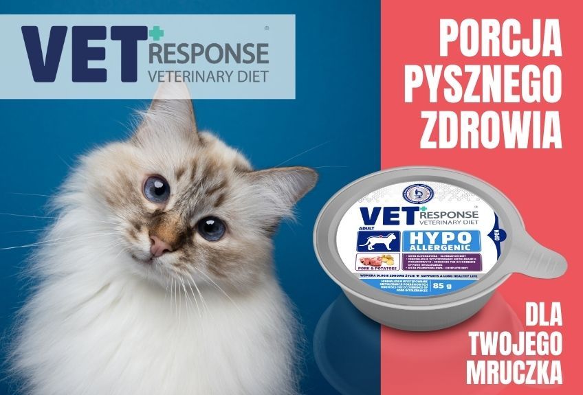 jak żywienie wpływa na zachowanie kota