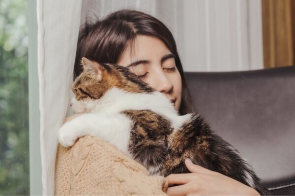 Kot Toby odnalazł się po 11 latach