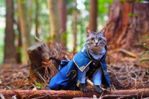 cosplay dla kotów podbija internet!