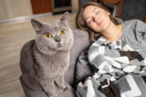 kot budzi w nocy.jpg