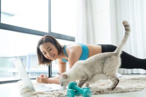 kot powtarza ruchy po człowieku