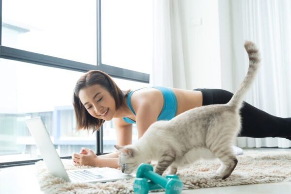 kot powtarza ruchy po człowieku