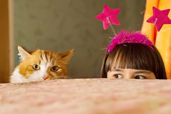 Dziecko i kot mogą tworzyć naprawdę zgraną paczkę. A czy wiesz, że możesz w prosty i ciekawy sposób rozbudzić w swoim maluchu zarówno kreatywność, jak i poczucie odpowiedzialności za mruczka?