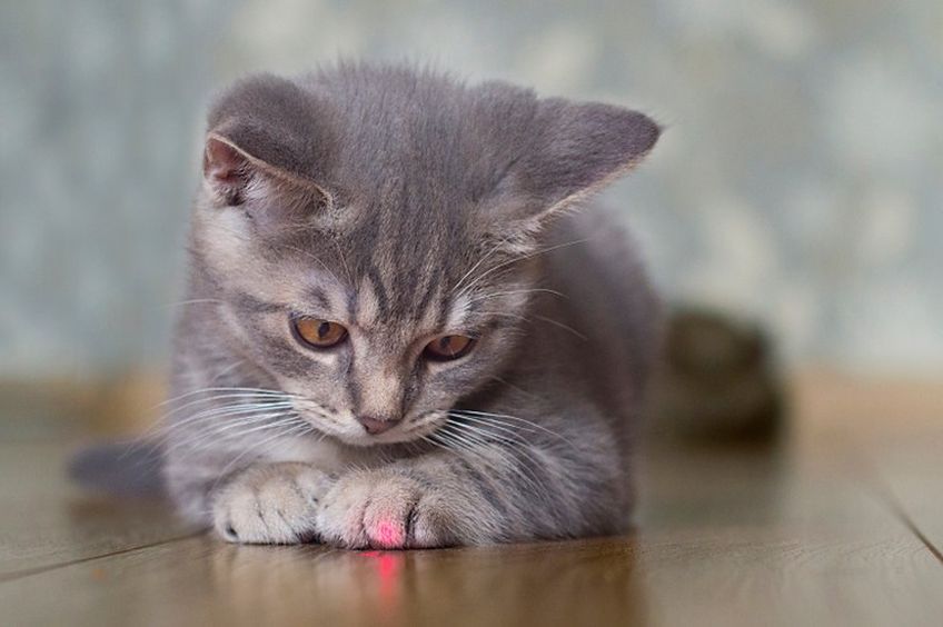 niebezpieczne zabawy