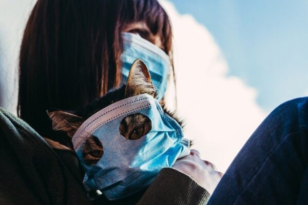 Koronawirus u kota - nie ma dowodów, by mogło dojść do zakażenia ani zarażenai człowieka.