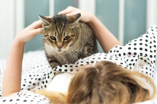 kot bije cię łapą