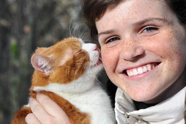 dlaczego kot liże mnie po twarzy