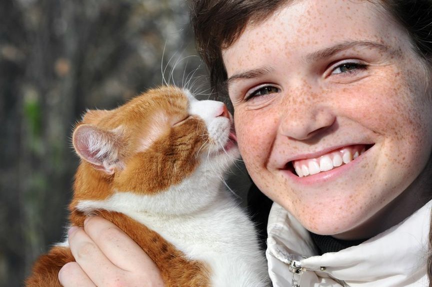 dlaczego kot liże mnie po twarzy