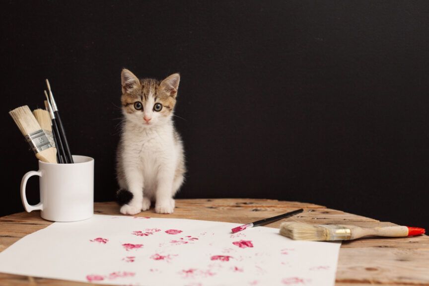 sposoby na upamiętnienie swojego kota