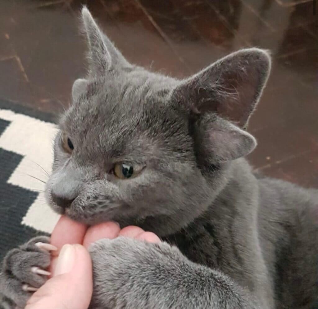 Instagram: @midas_x24