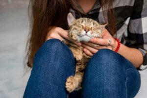 historie z życia kociarza