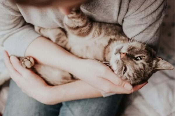 Nawyki kociarzy mogą wprawiać w konsternację...