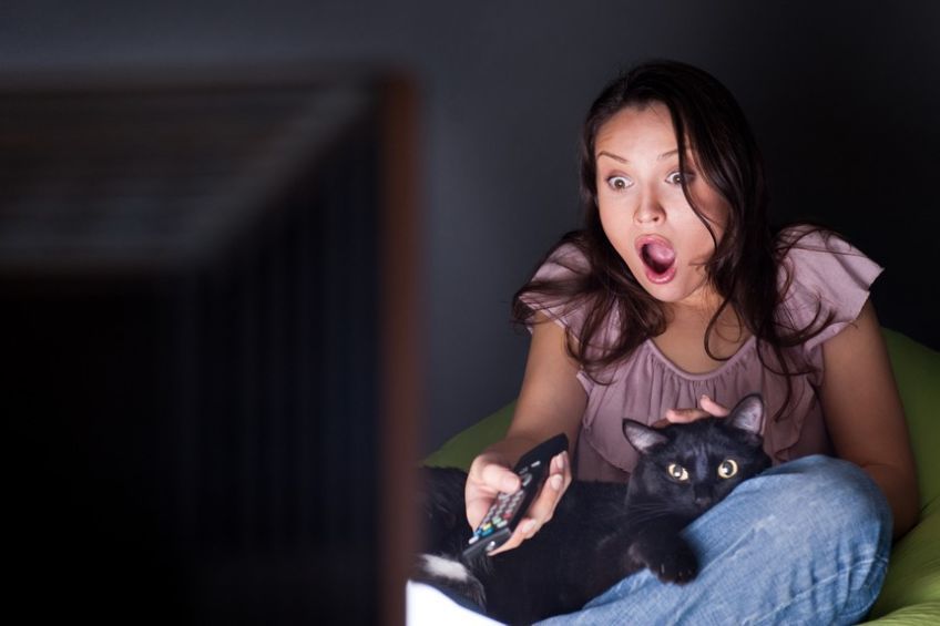 koty oglądają seriale