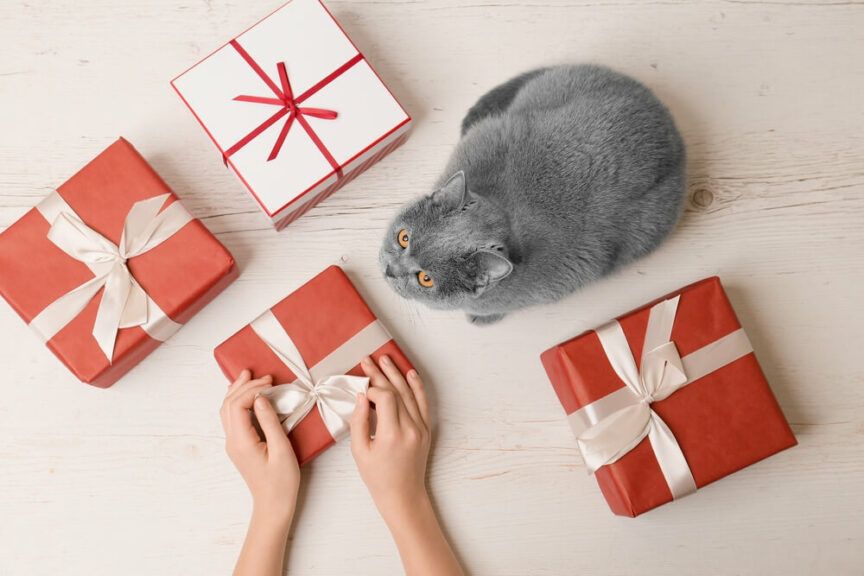 jak przeszkodzić ci w pakowaniu prezentów