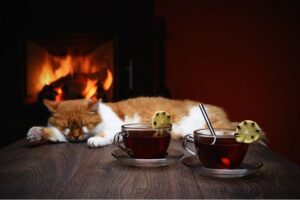 Kot przy kominku znajduje miejsce do drzemki i wygrzewania się. Jednak nie zawsze jest ono dla niego w peni bezpieczne. Jak to zmienić?