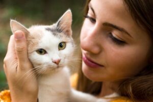 dmuchać kotu w pysk