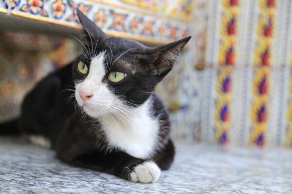 nie musi cię widzieć