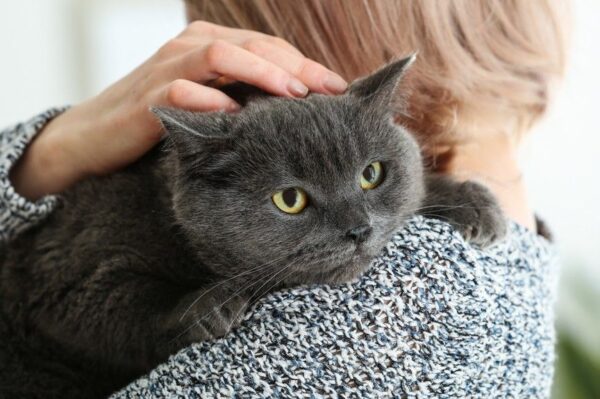 czy poświęcasz kotu dość czasu