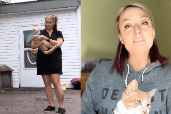 kot uratowal opiekunow przed zaczadzeniem