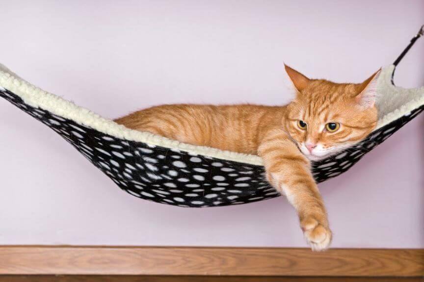 jak zrobić hamak dla kota