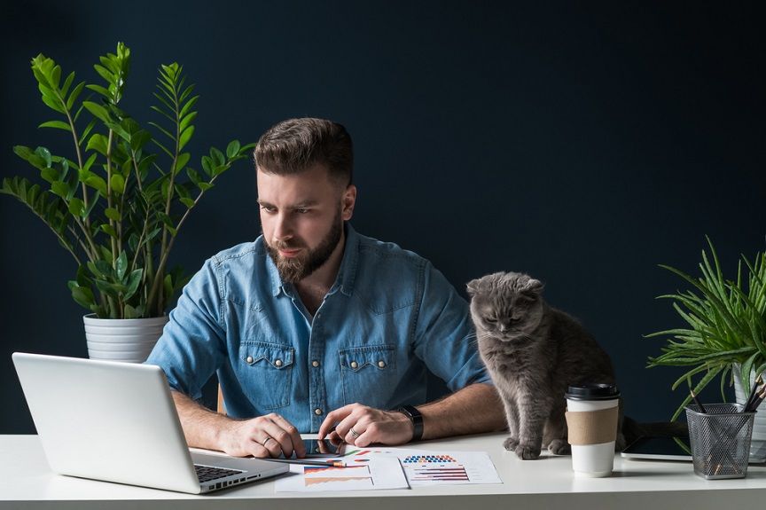 Home office z kotem brzmi jak spełnienie marzeń, prawda? Do czasu, gdy kiciuś nie postanowi dumnie przejść się po klawiaturze...
