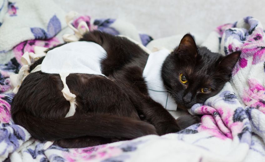 depresja kubraczkowa