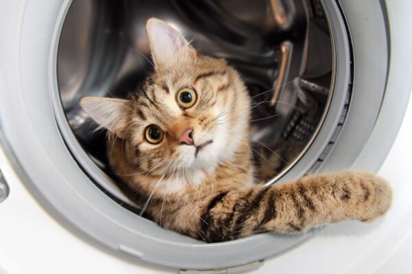 niebezpieczne kryjówki