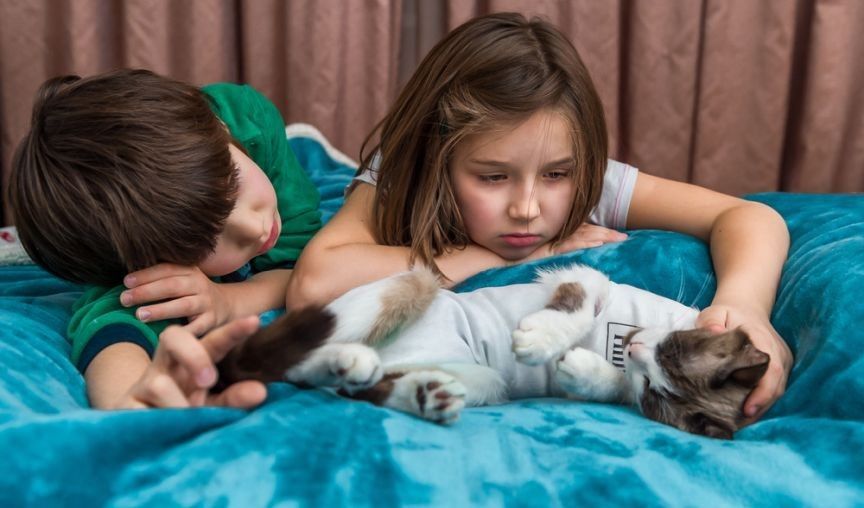 depresja kubraczkowa