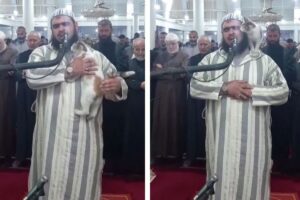 kot wskoczył na imama