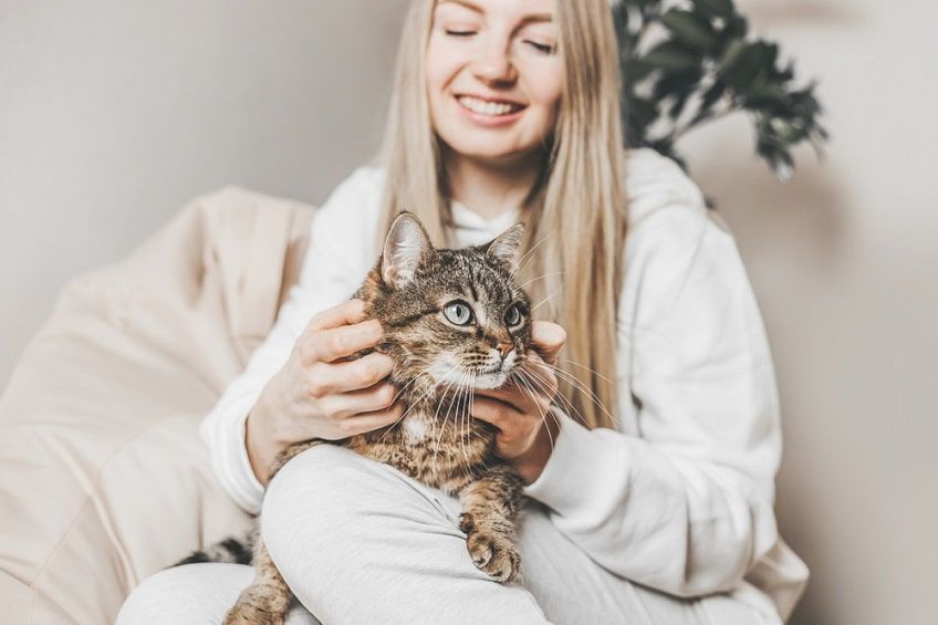 kot z chorobą sierocą-min.jpg