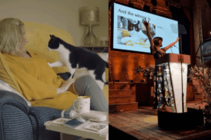 kot-z-tytulem-kota-roku