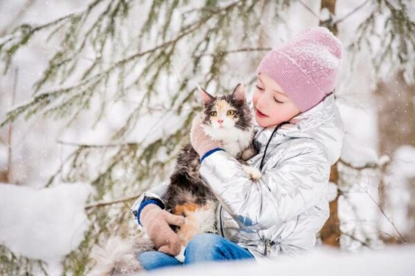 dbać o kota wychodzącego