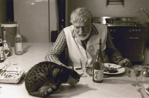 Ernest Hemingway i kot