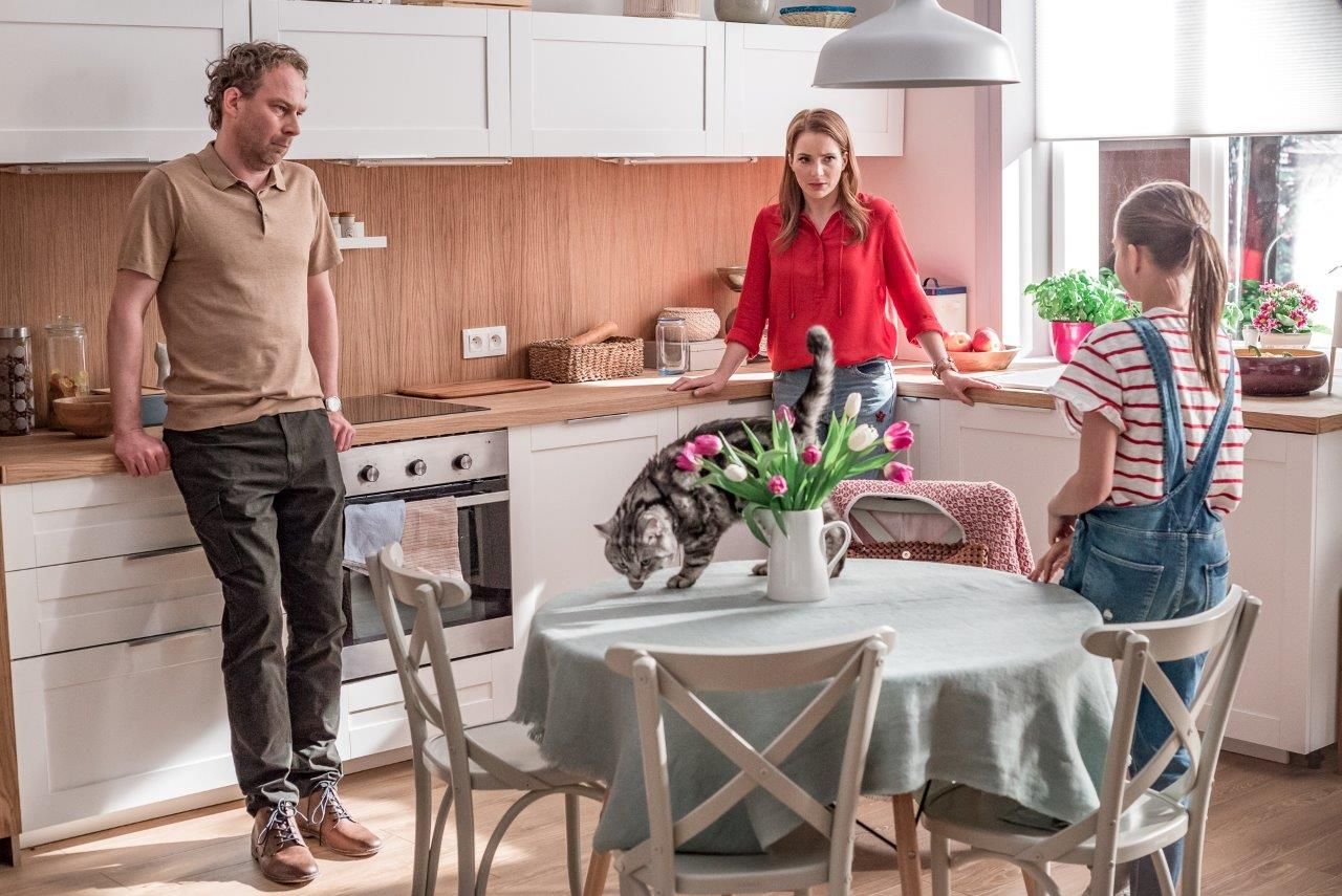 koty i zaloty zdjęcie z planu