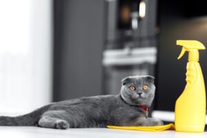 koty lubią zapach środków chemicznych