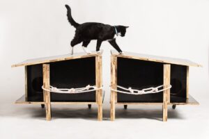 Kotydż projekt dla kotów wolno żyjących