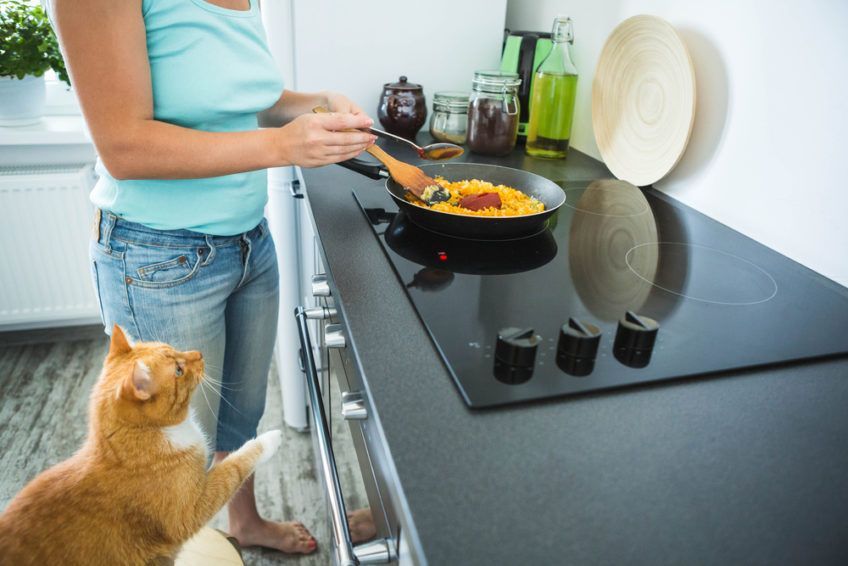 kot w kuchni