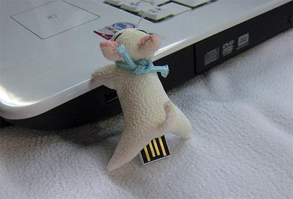 pamięć USB w kształcie kota