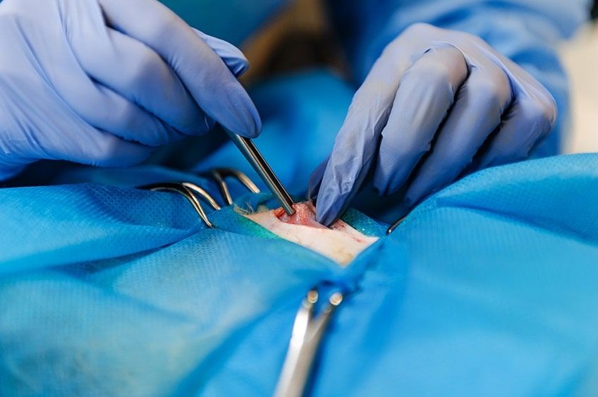 leczenie chłoniaka-min.jpg