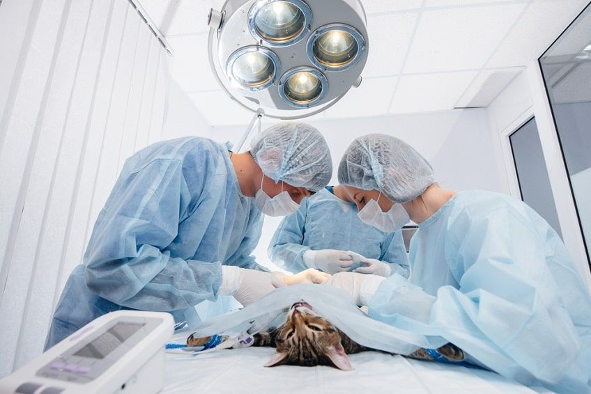 leczenie guza listwy mlecznej(1)-min.jpg