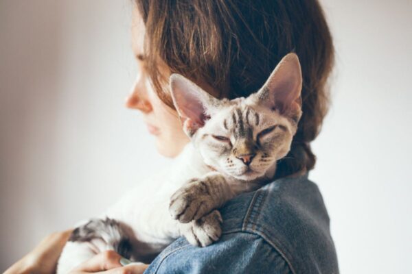 lek dla kotów cukrzyków