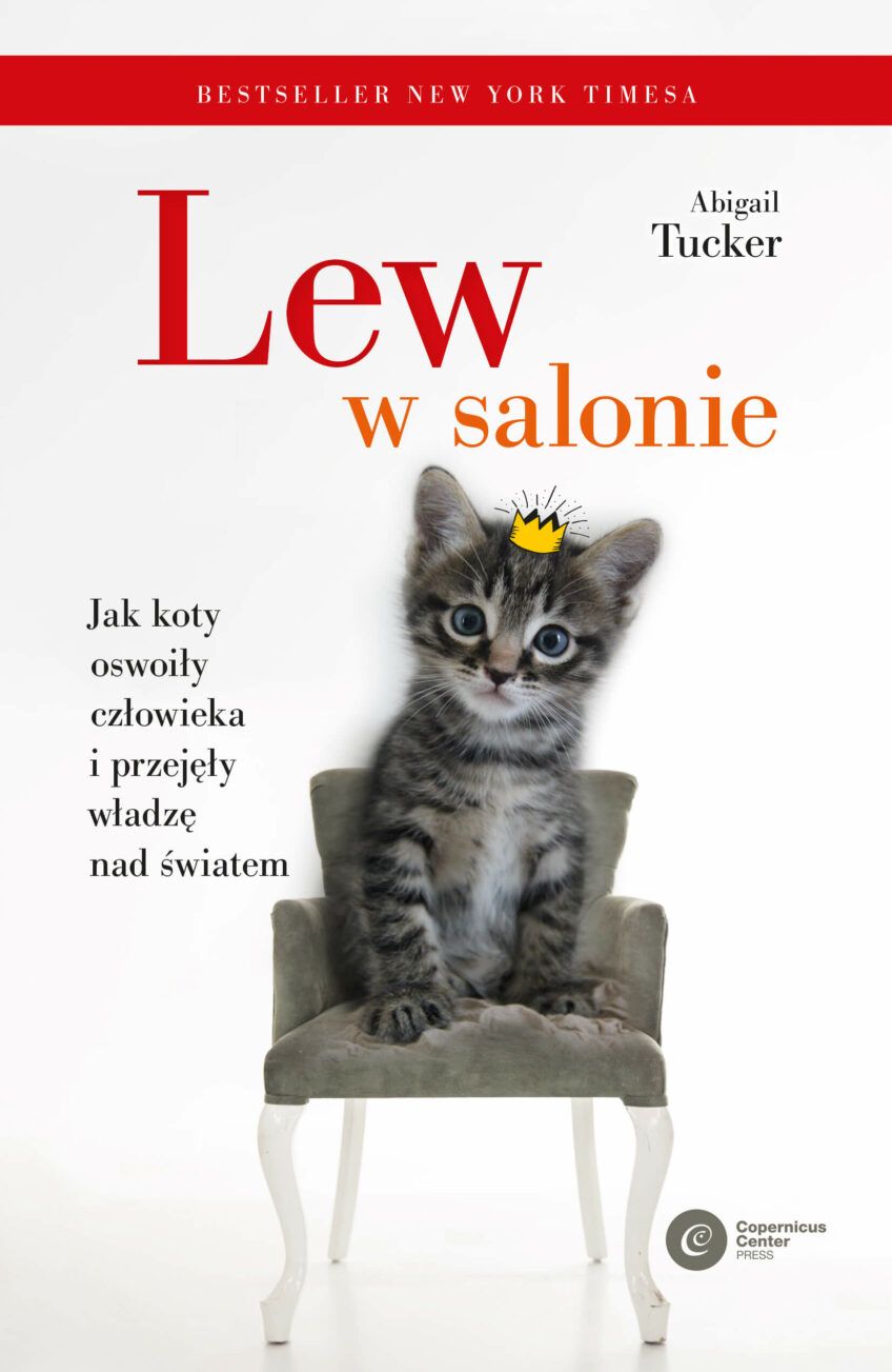 lew w salonie