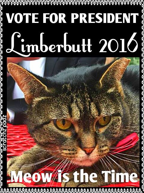 Limberbutt 2016