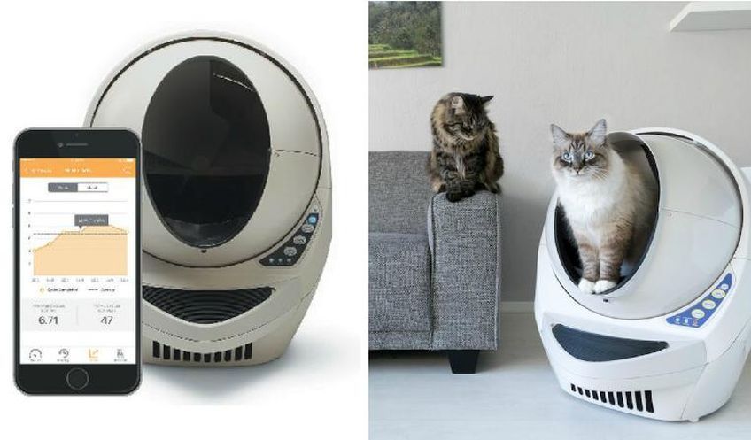 kocie gadżety automatyczna kuweta