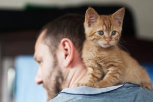 czego uczą nas małe kotki