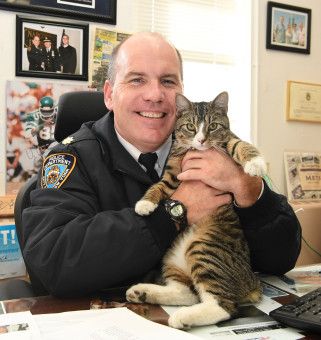 police cat